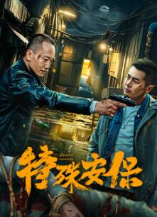 special security special security