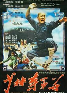 The Disclple Of The Shaolin Temple